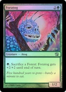 Amazon.co.jp: 英語版フォイル 第8版 Eighth Edition 8ED 森エイトグ